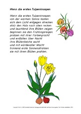 Gedicht-Wenn-die-ersten-Tulpenknospen.pdf